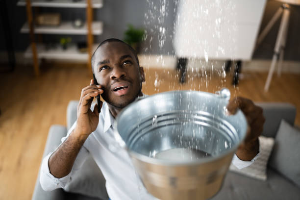 Best Water damage restoration specialists  in East Mckeesport, PA