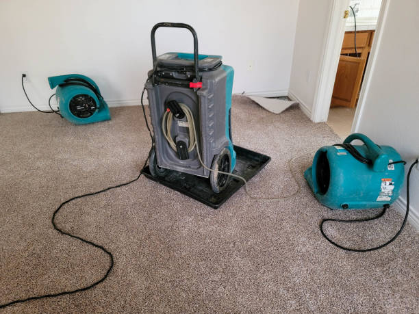 Best Sewage cleanup and water damage restoration  in East Mckeesport, PA