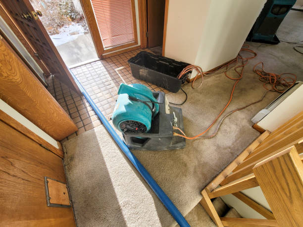 Best Fire Damage Restoration  in East Mckeesport, PA