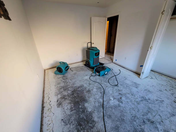 Best Flood damage cleanup  in East Mckeesport, PA