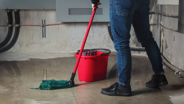 Best Ceiling water damage repair  in East Mckeesport, PA