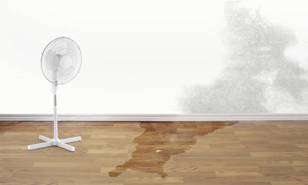 Best Basement water damage restoration  in East Mckeesport, PA