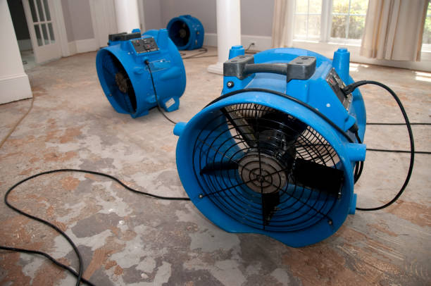 Best Carpet water damage restoration  in East Mckeesport, PA
