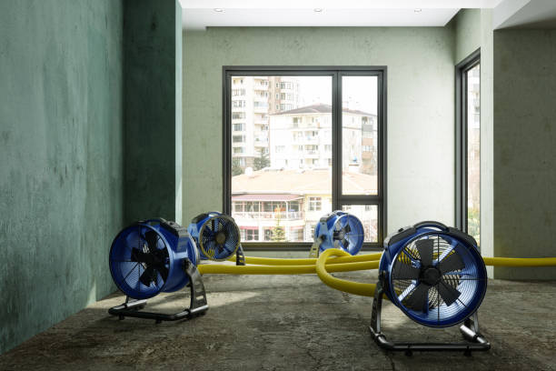 Best Mold removal after water damage  in East Mckeesport, PA